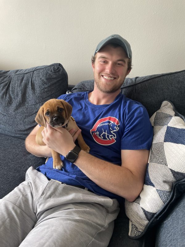 Puggle Puppy Review