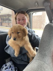 Buster The Puppy Review