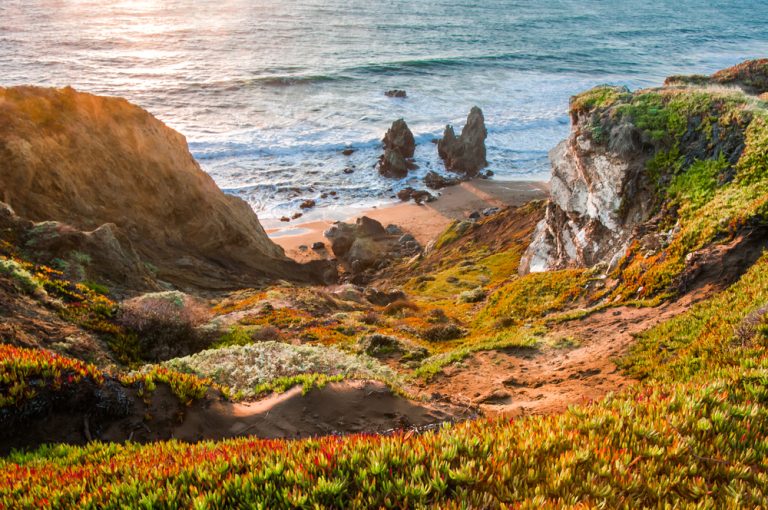 The rocky shore in the California bay area during daytime
