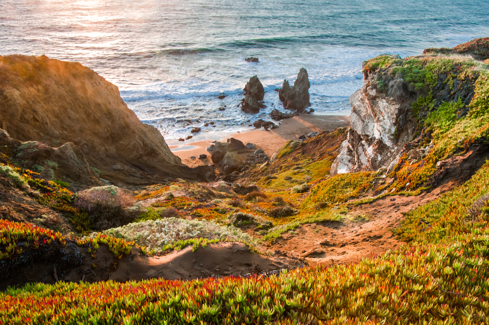 The rocky shore in the California bay area during daytime