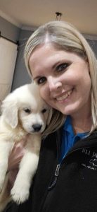 Maverick The Puppy Review